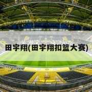 田宇翔(田宇翔扣篮大赛)