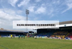 羽毛球比赛场地规则(羽毛球场地规则图解)