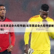 北京奥运会火炬传递(北京奥运会火炬传递被抢)