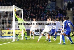 直播:法国vs波兰(直播法国vs波兰比赛)