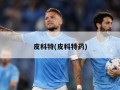 皮科特(皮科特药)