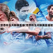 世界杯五大联赛直播(世界杯五大联赛直播视频)