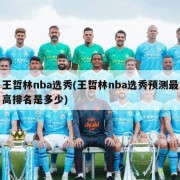王哲林nba选秀(王哲林nba选秀预测最高排名是多少)
