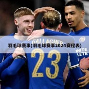 羽毛球赛事(羽毛球赛事2024赛程表)
