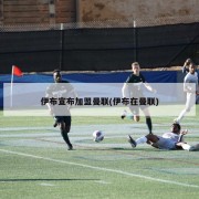 伊布宣布加盟曼联(伊布在曼联)