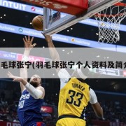 羽毛球张宁(羽毛球张宁个人资料及简介)