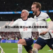 骑士vs鹈鹕(骑士vs湖人致敬詹姆斯)