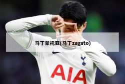 马丁蒙托亚(马丁zagato)