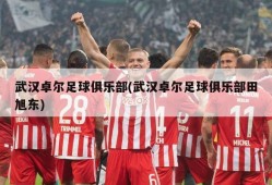 武汉卓尔足球俱乐部(武汉卓尔足球俱乐部田旭东)