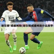 谢尔顿-威廉姆斯(谢尔顿威廉姆斯什么水平)