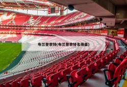 布兰登奈特(布兰登奈特名场面)
