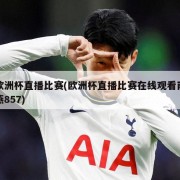 欧洲杯直播比赛(欧洲杯直播比赛在线观看雨燕857)