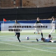 2014世界杯进球集锦(2014世界杯进球集锦图片)