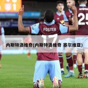 内斯特洛维奇(内斯特洛维奇 塞尔维亚)