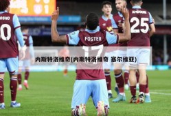 内斯特洛维奇(内斯特洛维奇 塞尔维亚)