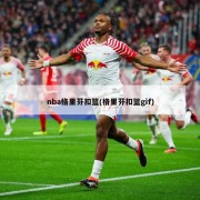 nba格里芬扣篮(格里芬扣篮gif)