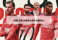 拉加-贝尔(拉加贝尔为什么恨科比)