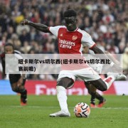 纽卡斯尔vs切尔西(纽卡斯尔vs切尔西比赛前瞻)
