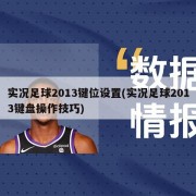 实况足球2013键位设置(实况足球2013键盘操作技巧)