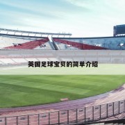 英国足球宝贝的简单介绍