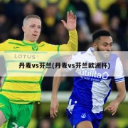 丹麦vs芬兰(丹麦vs芬兰欧洲杯)