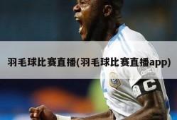 羽毛球比赛直播(羽毛球比赛直播app)