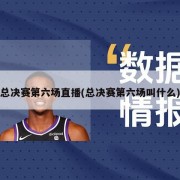 总决赛第六场直播(总决赛第六场叫什么)