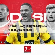 2014年nba总决赛(2014年nba总决赛g3回放国语)