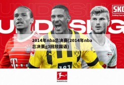 2014年nba总决赛(2014年nba总决赛g3回放国语)