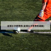 足球小子世界杯(足球小子世界杯结局)