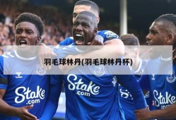 羽毛球林丹(羽毛球林丹杯)