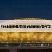 羽毛球消极比赛(羽毛球消极比赛判罚)