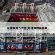 足球裁判万大雪(足球裁判员视频)