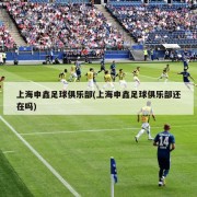 上海申鑫足球俱乐部(上海申鑫足球俱乐部还在吗)