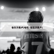 恰尔汗奥卢(哈坎·恰尔汗奥卢)