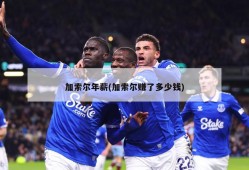 加索尔年薪(加索尔赚了多少钱)