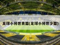 足球小将世青篇(足球小将世少篇)