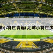 足球小将世青篇(足球小将世少篇)