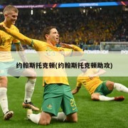 约翰斯托克顿(约翰斯托克顿助攻)