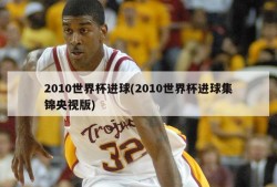 2010世界杯进球(2010世界杯进球集锦央视版)