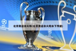北京奥运会火炬(北京奥运会火炬水下传递)