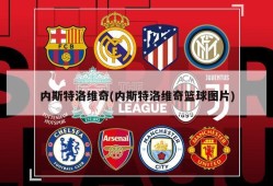 内斯特洛维奇(内斯特洛维奇篮球图片)