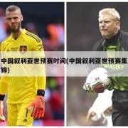 中国叙利亚世预赛时间(中国叙利亚世预赛集锦)