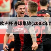 2008欧洲杯进球集锦(2008年欧洲杯进球)