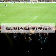 掘金队球员名单(掘金队球员名单阵容介绍)