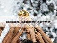 羽毛球用品(羽毛球用品店创业计划书)