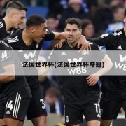 法国世界杯(法国世界杯夺冠)