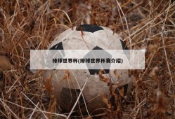 排球世界杯(排球世界杯赛介绍)