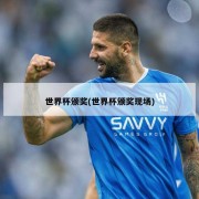 世界杯颁奖(世界杯颁奖现场)