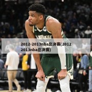 2012-2013nba总决赛(20122013nba总决赛)